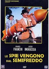 Le spie vengono dal semifreddo（原題）のポスター