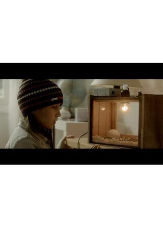 しあわせなアヒルの子のポスター