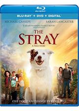 The Stray（原題）のポスター