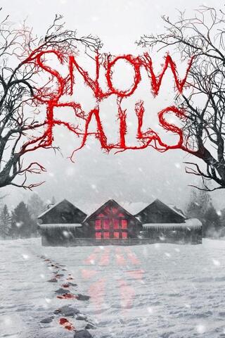 Snow Falls（原題）のポスター