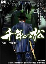 千年の松のポスター