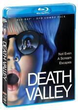 Death Valley（原題）のポスター