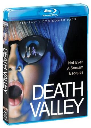 Death Valley（原題）のポスター