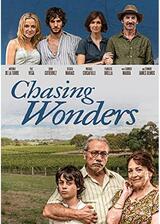 Chasing Wonders（原題）のポスター