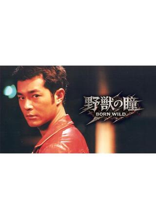 野獣の瞳 BORN WILDのポスター