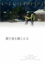 渡り鳥も聴こえるのポスター