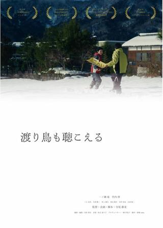 渡り鳥も聴こえるのポスター
