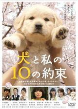 犬と私の10の約束のポスター