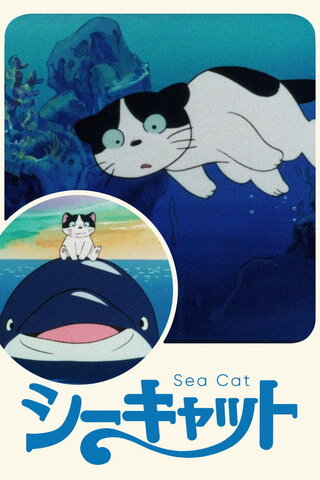 シーキャットのポスター