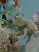 O Bílé Princezně（原題）のポスター