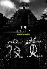 Night Awake（原題）のポスター