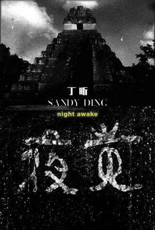 Night Awake（原題）のポスター
