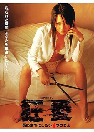 狂愛 死ぬまでにしたい4つのことのポスター