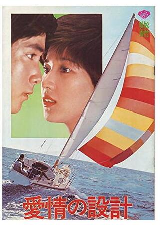 愛情の設計のポスター