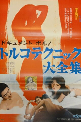 ドキュメントポルノ トルコテクニック大全集のポスター