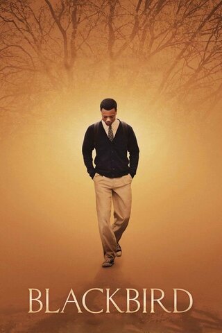ブラックバード（原題）のポスター