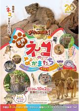 劇場版ダーウィンが来た！世界のネコのなかまたちのポスター