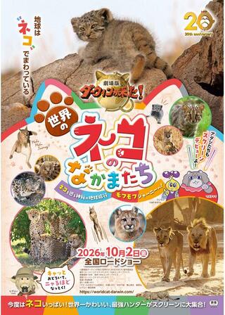 劇場版ダーウィンが来た！世界のネコのなかまたちのポスター