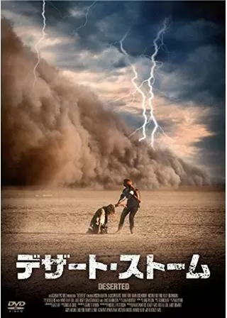 デザート・ストームのポスター