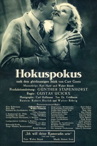 The Temporary Widow（原題）のポスター