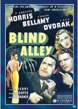 Blind Alley（原題）のポスター