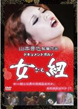 ドキュメント・ポルノ 女紐のポスター