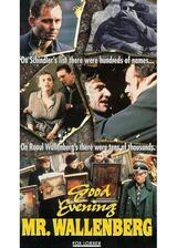 Good Evening, Mr. Wallenberg（英題）のポスター