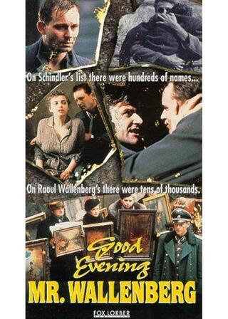 Good Evening, Mr. Wallenberg（英題）のポスター