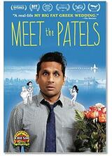 ミート・ザ・パテルのポスター