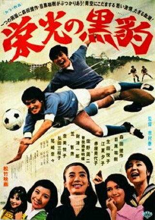 栄光の黒豹のポスター