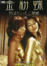 金粉蝶 羽ばたいてご開帳のポスター