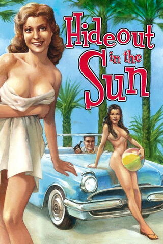 Hideout in the Sun（原題）のポスター