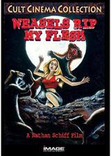 Weasels Rip My Flesh（原題）のポスター