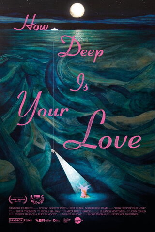How Deep Is Your Love（原題）のポスター