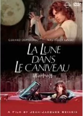 溝の中の月のポスター