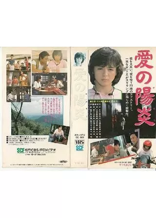 愛の陽炎のポスター