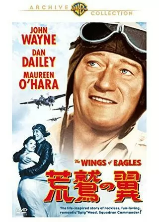 荒鷲の翼のポスター