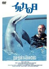 イルカの日のポスター