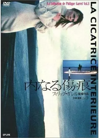 内なる傷痕のポスター