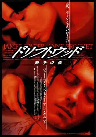 ドリフトウッド／硝子の檻のポスター