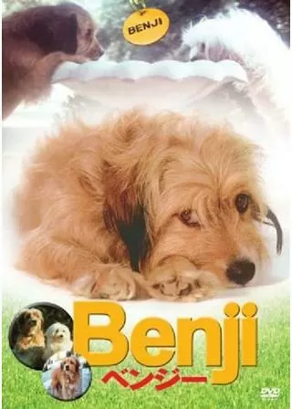ベンジーのポスター