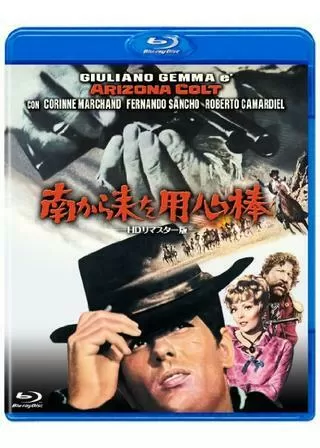 南から来た用心棒のポスター