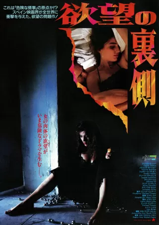 欲望の裏側のポスター