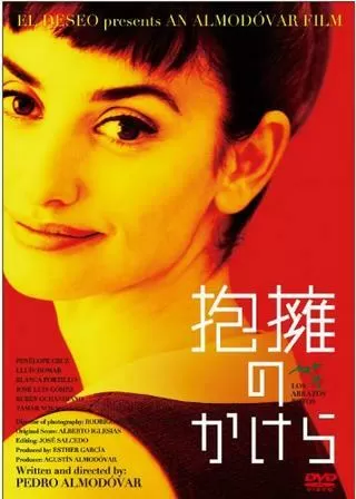 抱擁のかけらのポスター