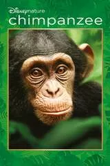 ディズニーネイチャー チンパンジー 愛すべき大家族のポスター