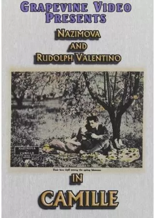 椿姫のポスター