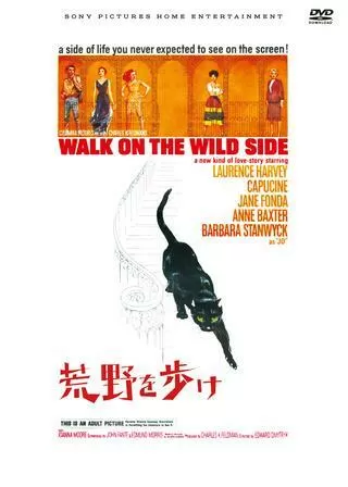 荒野を歩けのポスター