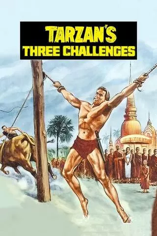 ターザン三つの挑戦のポスター
