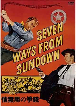 情無用の拳銃のポスター