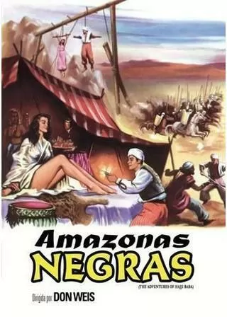 熱砂の女盗賊のポスター